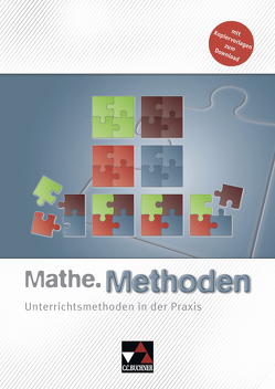 Begleitmaterial Mathematik / Mathe.Methoden von Castelli,  Sabine, Fast,  Viktor, Kleine,  Michael