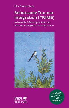 Behutsame Trauma-Integration (TRIMB) von Reddemann,  Luise, Spangenberg,  Ellen