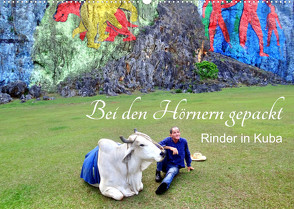 Bei den Hörnern gepackt – Rinder in Kuba (Wandkalender 2023 DIN A2 quer) von von Loewis of Menar,  Henning