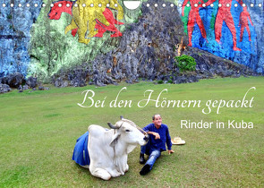 Bei den Hörnern gepackt – Rinder in Kuba (Wandkalender 2023 DIN A4 quer) von von Loewis of Menar,  Henning
