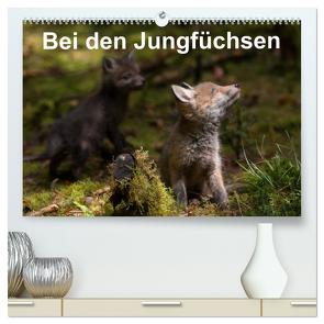 Bei den Jungfüchsen (hochwertiger Premium Wandkalender 2024 DIN A2 quer), Kunstdruck in Hochglanz von Wilhelm,  N.