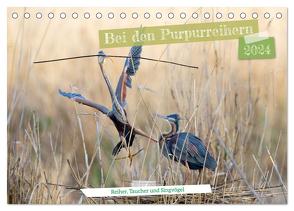 Bei den Purpurreihern (Tischkalender 2024 DIN A5 quer), CALVENDO Monatskalender von Bauer,  Frederic