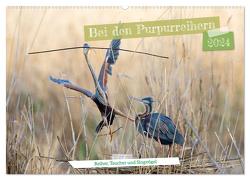 Bei den Purpurreihern (Wandkalender 2024 DIN A2 quer), CALVENDO Monatskalender von Bauer,  Frederic