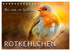 Bei uns im Garten – Rotkehlchen (Tischkalender 2024 DIN A5 quer), CALVENDO Monatskalender von Roder,  Peter