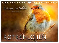 Bei uns im Garten – Rotkehlchen (Wandkalender 2024 DIN A4 quer), CALVENDO Monatskalender von Roder,  Peter