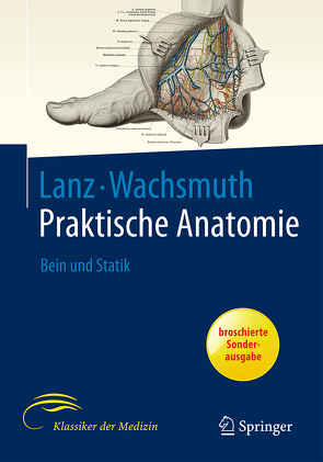 Bein und Statik von Lang,  Johannes, Wachsmuth,  W.
