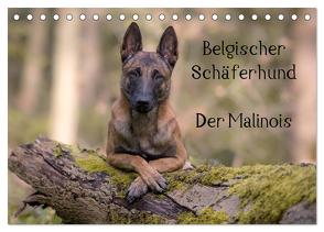 Belgischer Schäferhund – Der Malinois (Tischkalender 2024 DIN A5 quer), CALVENDO Monatskalender von Brandt,  Tanja