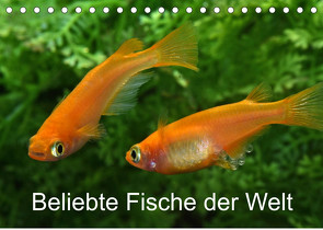 Beliebte Fische der Welt (Tischkalender 2023 DIN A5 quer) von Pohlmann,  Rudolf