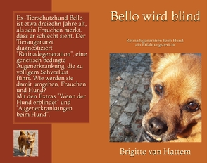 Bello wird blind von van Hattem,  Brigitte