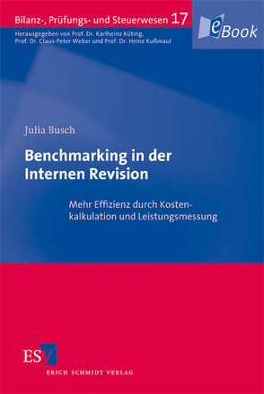 Benchmarking in der Internen Revision von Busch,  Julia