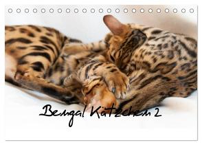 Bengal Kätzchen 2 (Tischkalender 2024 DIN A5 quer), CALVENDO Monatskalender von Enderlein - Bethari Bengals,  Sylke