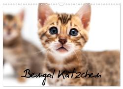 Bengal Kätzchen (Wandkalender 2024 DIN A3 quer), CALVENDO Monatskalender von Enderlein - Bethari Bengals,  Sylke