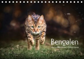 Bengalen Outdoor und Action (Tischkalender 2018 DIN A5 quer) von Krappweis,  Andreas