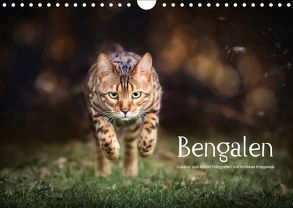 Bengalen Outdoor und Action (Wandkalender 2018 DIN A4 quer) von Krappweis,  Andreas