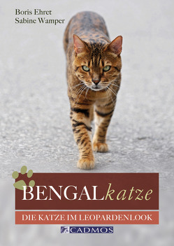 Bengalkatze von Ehret,  Boris, Wamper,  Sabine