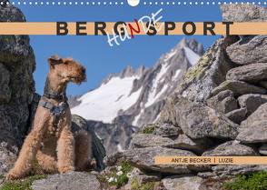 Berg-Hunde-Sport (Wandkalender 2022 DIN A3 quer) von Becker,  Antje