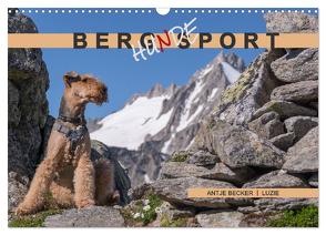 Berg-Hunde-Sport (Wandkalender 2024 DIN A3 quer), CALVENDO Monatskalender von Becker,  Antje