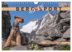 Berg-Hunde-Sport (Wandkalender 2024 DIN A4 quer), CALVENDO Monatskalender von Becker,  Antje