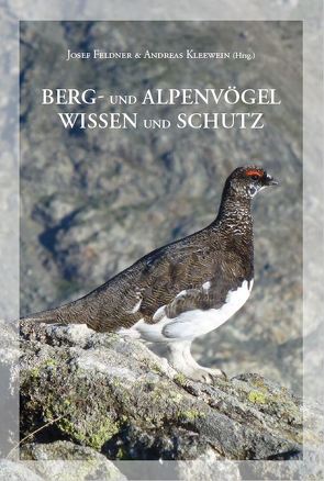 Berg- und Alpenvögel Wissen und Schutz von Feldner,  Josef, Kleewein,  Andreas
