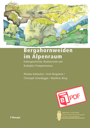 Bergahornweiden im Alpenraum von Bergamini,  Ariel, Bürgi,  Matthias, Kiebacher,  Thomas, Scheidegger,  Christoph