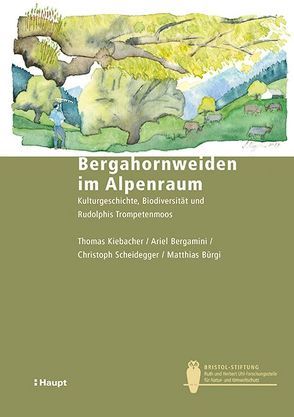 Bergahornweiden im Alpenraum von Bergamini,  Ariel, Bürgi,  Matthias, Kiebacher,  Thomas, Scheidegger,  Christoph