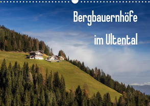 Bergbauernhöfe im Ultental (Wandkalender 2023 DIN A3 quer) von Pöder,  Gert