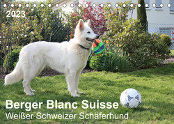 Berger Blanc Suisse – Weißer Schweizer Schäferhund (Tischkalender 2023 DIN A5 quer) von Brunhilde Kesting,  Margarete