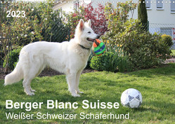 Berger Blanc Suisse – Weißer Schweizer Schäferhund (Wandkalender 2023 DIN A3 quer) von Brunhilde Kesting,  Margarete