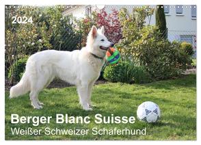 Berger Blanc Suisse – Weißer Schweizer Schäferhund (Wandkalender 2024 DIN A3 quer), CALVENDO Monatskalender von Brunhilde Kesting,  Margarete