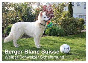 Berger Blanc Suisse – Weißer Schweizer Schäferhund (Wandkalender 2024 DIN A4 quer), CALVENDO Monatskalender von Brunhilde Kesting,  Margarete