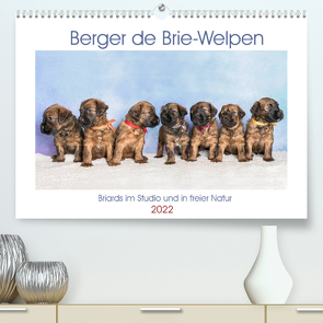 Berger de Brie – Welpen (Premium, hochwertiger DIN A2 Wandkalender 2022, Kunstdruck in Hochglanz) von Teßen,  Sonja