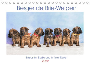 Berger de Brie – Welpen (Tischkalender 2022 DIN A5 quer) von Teßen,  Sonja