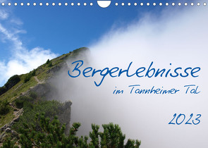 Bergerlebnisse im Tannheimer Tal (Wandkalender 2023 DIN A4 quer) von Ruppert,  Ralf