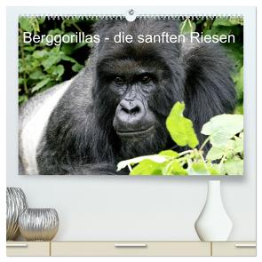 Berggorillas – die sanften Riesen (hochwertiger Premium Wandkalender 2024 DIN A2 quer), Kunstdruck in Hochglanz von Herzog,  Michael