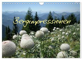 Bergimpressionen (Wandkalender 2024 DIN A4 quer), CALVENDO Monatskalender von Kapp,  Lilo