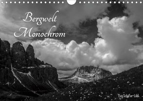 Bergwelt Monochrom (Wandkalender 2020 DIN A4 quer) von Schäfer-Löbl,  Evy