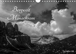 Bergwelt Monochrom (Wandkalender 2021 DIN A4 quer) von Schäfer-Löbl,  Evy