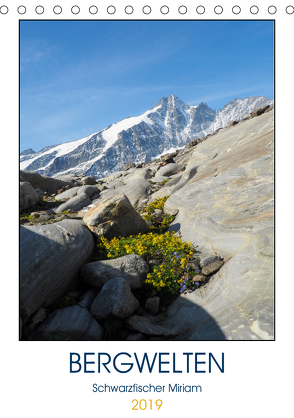 BergweltenAT-Version (Tischkalender 2019 DIN A5 hoch) von Miriam Schwarzfischer,  Fotografin