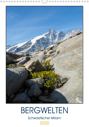BergweltenAT-Version (Wandkalender 2020 DIN A3 hoch) von Miriam Schwarzfischer,  Fotografin