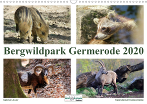 Bergwildpark Germerode (Wandkalender 2020 DIN A3 quer) von Löwer,  Sabine