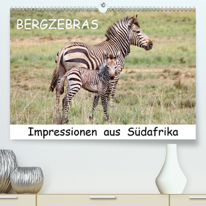 BERGZEBRAS Impressionen aus Südafrika (Premium, hochwertiger DIN A2 Wandkalender 2021, Kunstdruck in Hochglanz) von Thula