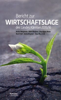 Bericht zur Wirtschaftslage des Landes Kärnten 2015/16 von Aigner-Walder,  Birgit, Friedl,  Beate, Klinglmair,  Andrea, Klinglmair,  Robert, Weyerstraß,  Klaus, Wohlgemuth,  Norbert