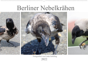 Berliner Nebelkrähen (Wandkalender 2022 DIN A2 quer) von Schilling,  Linda