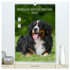 Berner Sennenhund 2024 (hochwertiger Premium Wandkalender 2024 DIN A2 hoch), Kunstdruck in Hochglanz von Starick,  Sigrid