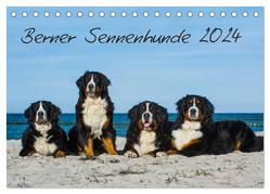Berner Sennenhund 2024 (Tischkalender 2024 DIN A5 quer), CALVENDO Monatskalender von Starick,  Sigrid