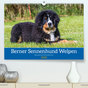 Berner Sennenhund Welpen – Bezaubernde Plüschbärchen (Premium, hochwertiger DIN A2 Wandkalender 2023, Kunstdruck in Hochglanz) von K. Fotografie,  Jana