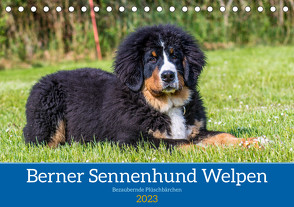 Berner Sennenhund Welpen – Bezaubernde Plüschbärchen (Tischkalender 2023 DIN A5 quer) von K. Fotografie,  Jana