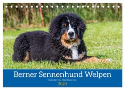 Berner Sennenhund Welpen – Bezaubernde Plüschbärchen (Tischkalender 2024 DIN A5 quer), CALVENDO Monatskalender von K. Fotografie,  Jana