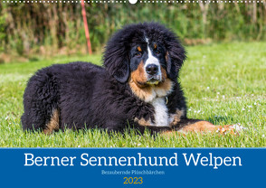 Berner Sennenhund Welpen – Bezaubernde Plüschbärchen (Wandkalender 2023 DIN A2 quer) von K. Fotografie,  Jana