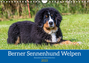 Berner Sennenhund Welpen – Bezaubernde Plüschbärchen (Wandkalender 2023 DIN A4 quer) von K. Fotografie,  Jana